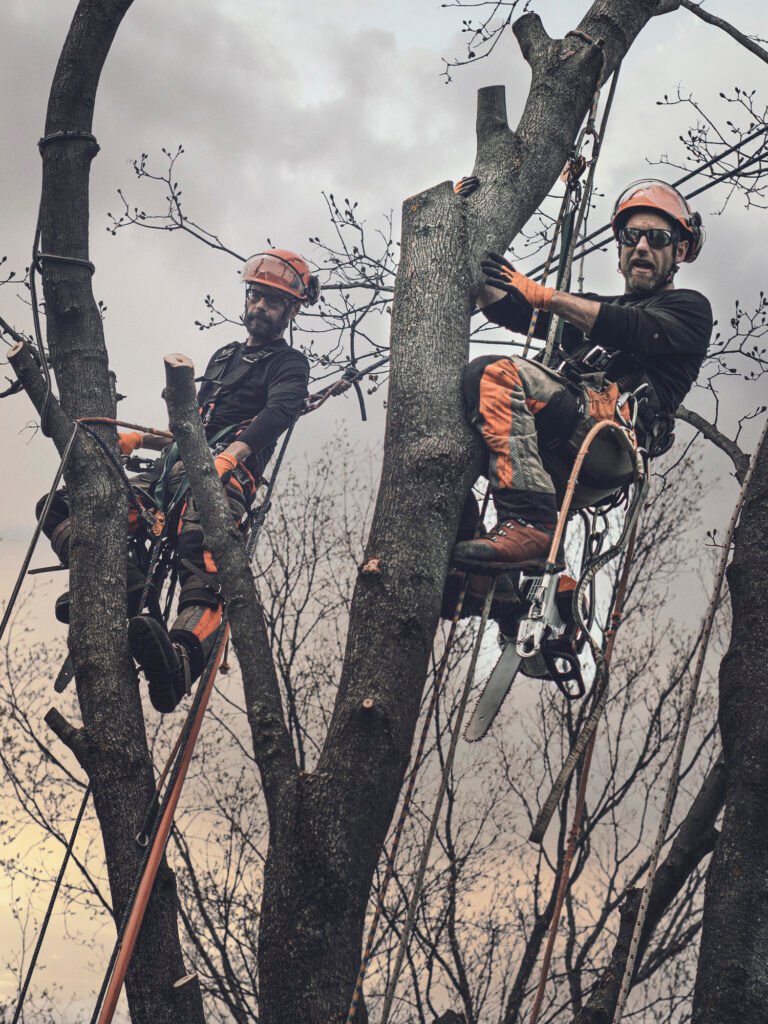 Baumpflege Team Witten Über Uns